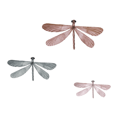 Wallstories - Dragonflies - 3 Pcs