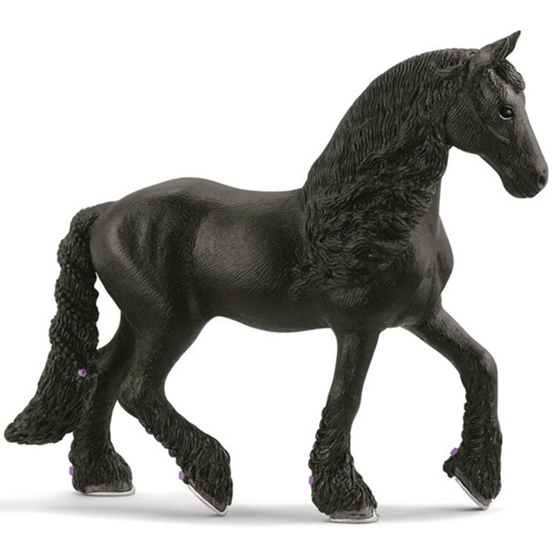 Friesian Sto