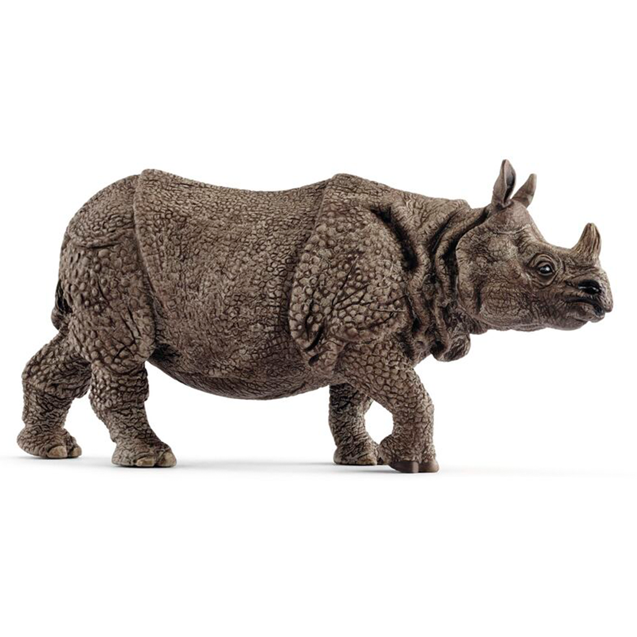 Indian Rhino