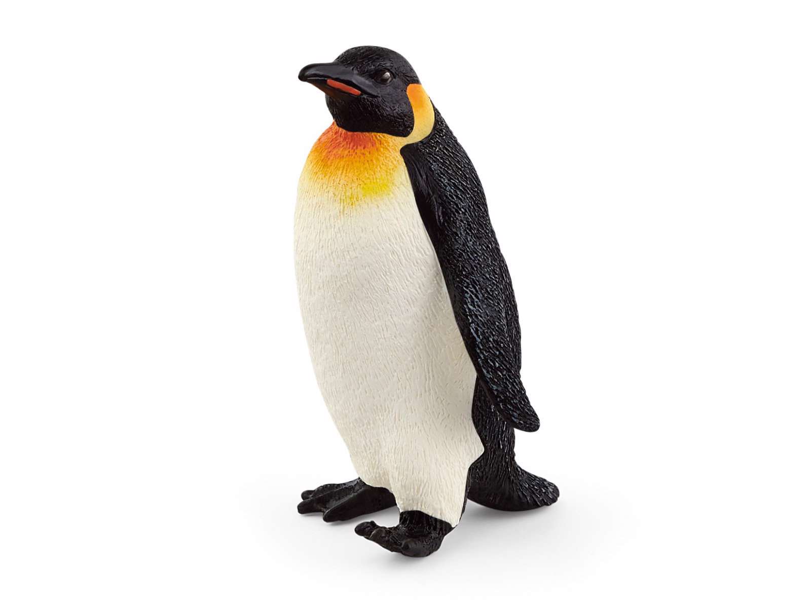 Emperor Penguin