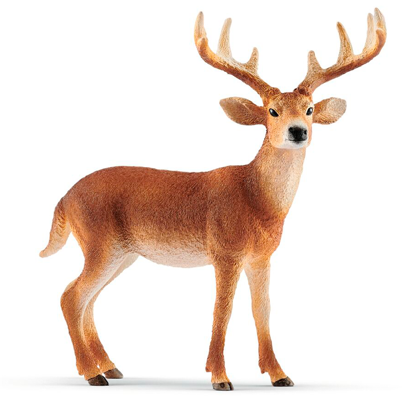 Crown Deer