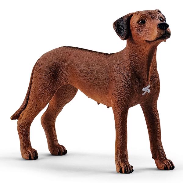 Rhodesian Ridgeback